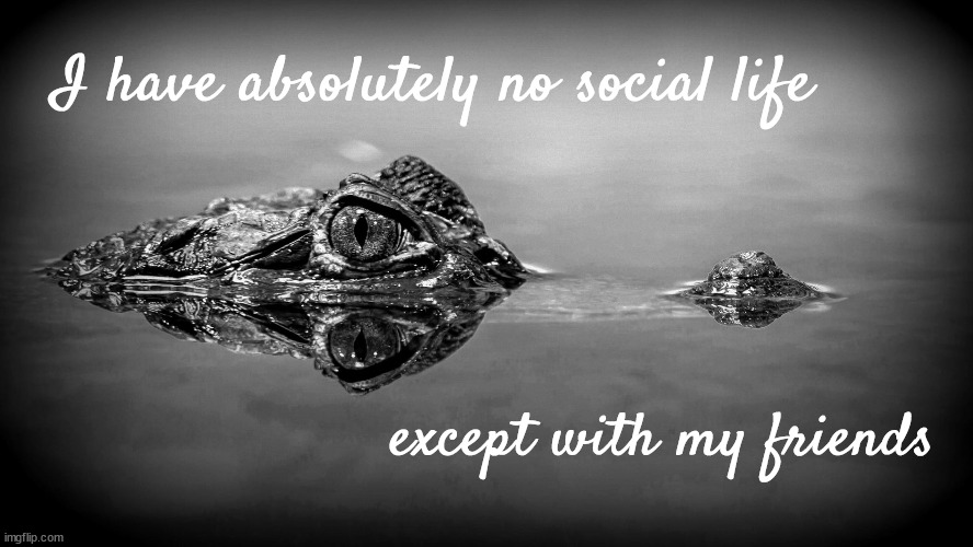 No social life | I have absolutely no social life; except with my friends | image tagged in crocodile,friends,none,except you you stay | made w/ Imgflip meme maker