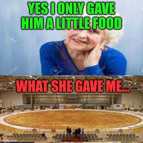 I only gave him a littl food... | YES I ONLY GAVE HIM A LITTLE FOOD; WHAT SHE GAVE ME... | image tagged in grandma | made w/ Imgflip meme maker