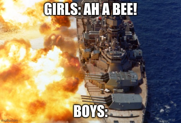 woman momment | GIRLS: AH A BEE! BOYS: | image tagged in battleship | made w/ Imgflip meme maker