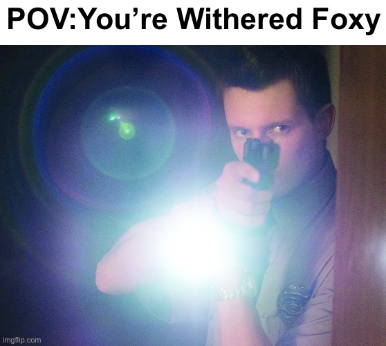 Police flashlight | POV:You’re Withered Foxy | image tagged in police flashlight,fnaf,fnaf 2,withered foxy | made w/ Imgflip meme maker