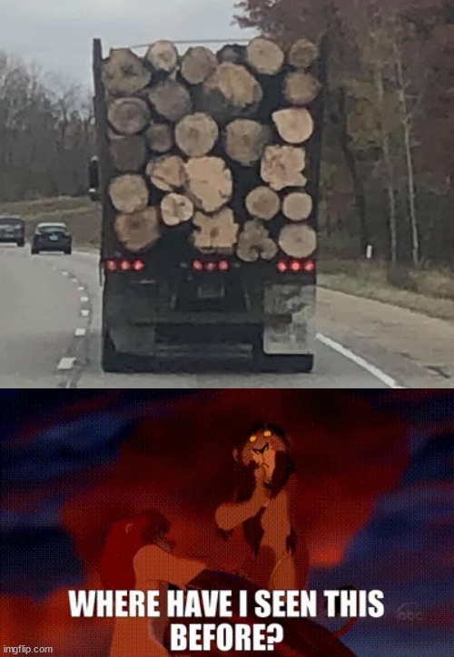 image tagged in scar where have i seen this before | made w/ Imgflip meme maker