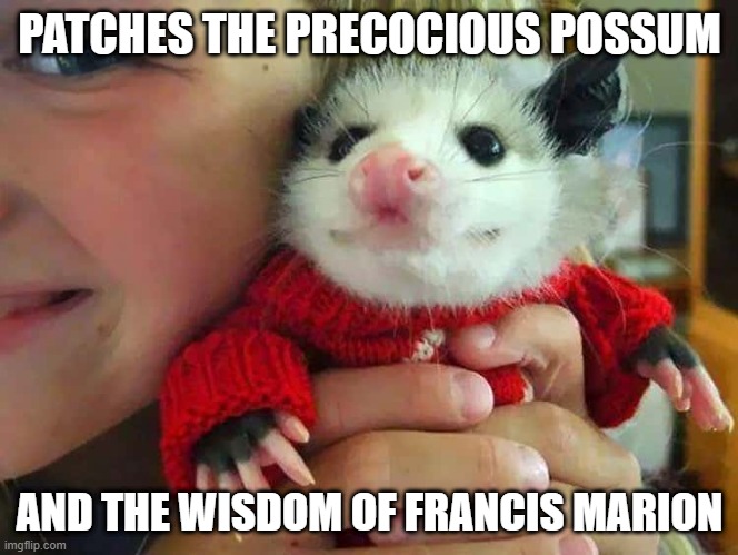 PATCHES THE PRECOCIOUS POSSUM; AND THE WISDOM OF FRANCIS MARION | made w/ Imgflip meme maker