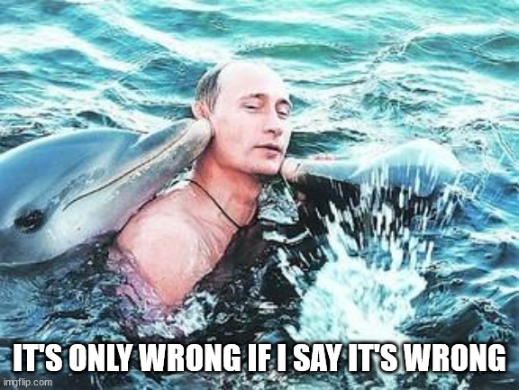 Putin Dolphins | IT'S ONLY WRONG IF I SAY IT'S WRONG | image tagged in putin dolphins | made w/ Imgflip meme maker