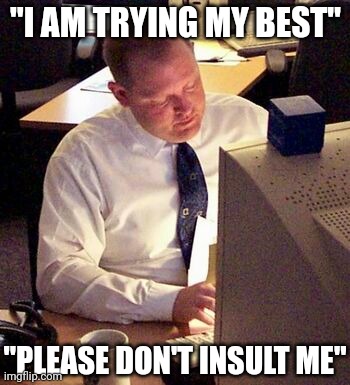 "I AM TRYING MY BEST"; "PLEASE DON'T INSULT ME" | image tagged in oh wow are you actually reading these tags | made w/ Imgflip meme maker