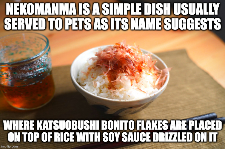 Nekomanma | NEKOMANMA IS A SIMPLE DISH USUALLY SERVED TO PETS AS ITS NAME SUGGESTS; WHERE KATSUOBUSHI BONITO FLAKES ARE PLACED ON TOP OF RICE WITH SOY SAUCE DRIZZLED ON IT | image tagged in food,memes | made w/ Imgflip meme maker