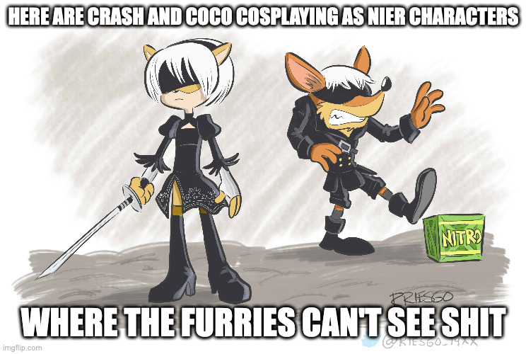 Crash and Coco in Nier Cosplay | HERE ARE CRASH AND COCO COSPLAYING AS NIER CHARACTERS; WHERE THE FURRIES CAN'T SEE SHIT | image tagged in nier,crash bandicoot,memes | made w/ Imgflip meme maker
