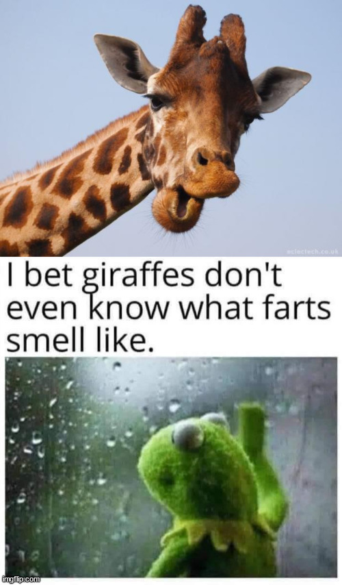 image tagged in comeback giraffe,science | made w/ Imgflip meme maker