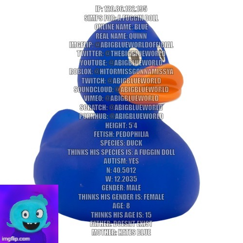 Blue's Personal Info | image tagged in blue's personal info | made w/ Imgflip meme maker