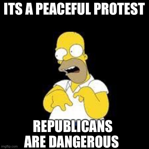 Look Marge | ITS A PEACEFUL PROTEST REPUBLICANS ARE DANGEROUS | image tagged in look marge | made w/ Imgflip meme maker