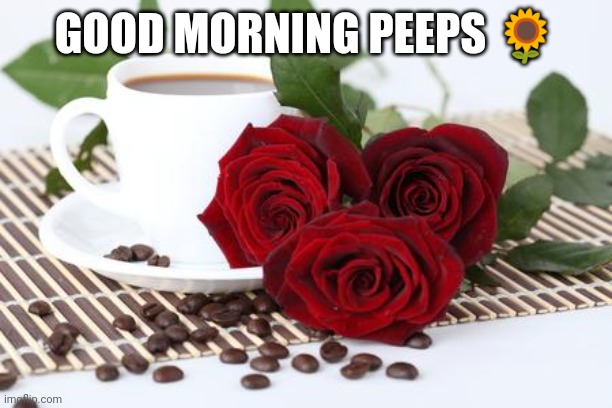 Good Morning Peeps | GOOD MORNING PEEPS 🌻 | image tagged in good morning | made w/ Imgflip meme maker