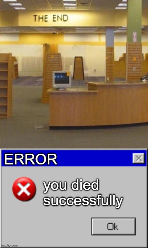 ERROR; you died successfully | image tagged in windows error message,the backrooms | made w/ Imgflip meme maker
