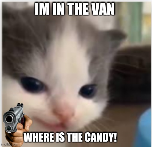 candy | IM IN THE VAN; WHERE IS THE CANDY! | image tagged in hangry | made w/ Imgflip meme maker