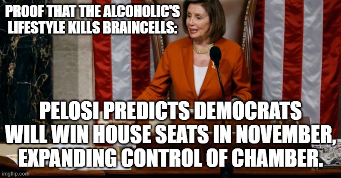 NEVER speak before an audience while sloshed. | PROOF THAT THE ALCOHOLIC'S LIFESTYLE KILLS BRAINCELLS:; PELOSI PREDICTS DEMOCRATS WILL WIN HOUSE SEATS IN NOVEMBER, EXPANDING CONTROL OF CHAMBER. | image tagged in sloshed nancy | made w/ Imgflip meme maker