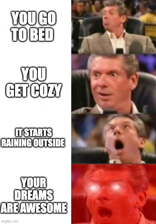 Mr. McMahon reaction | YOU GO TO BED; YOU GET COZY; IT STARTS RAINING OUTSIDE; YOUR DREAMS ARE AWESOME | image tagged in mr mcmahon reaction | made w/ Imgflip meme maker