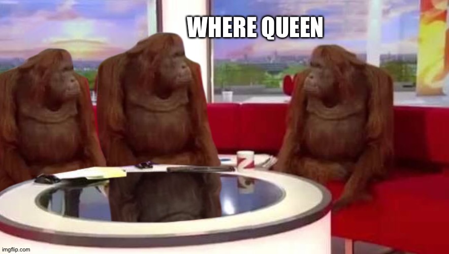 Yesterday... | WHERE QUEEN | image tagged in where monkey,queen,funeral | made w/ Imgflip meme maker