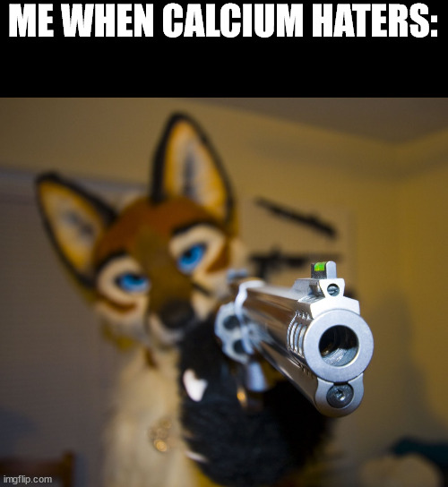 Furry with gun | ME WHEN CALCIUM HATERS: | image tagged in furry with gun | made w/ Imgflip meme maker