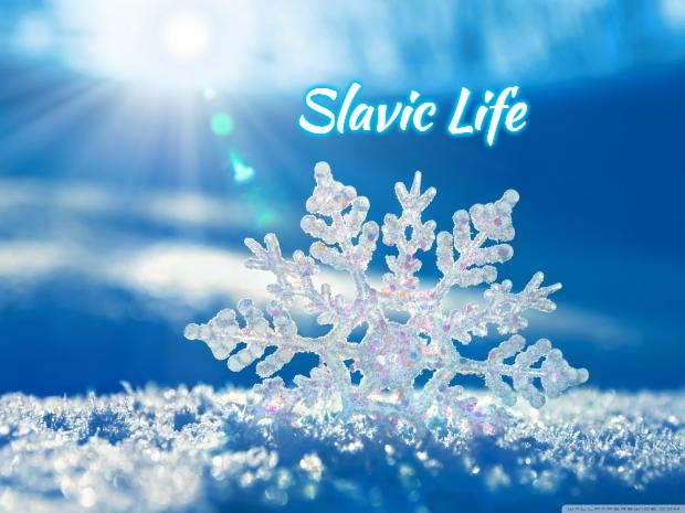 snowflake | Slavic Life | image tagged in snowflake,slavic life | made w/ Imgflip meme maker