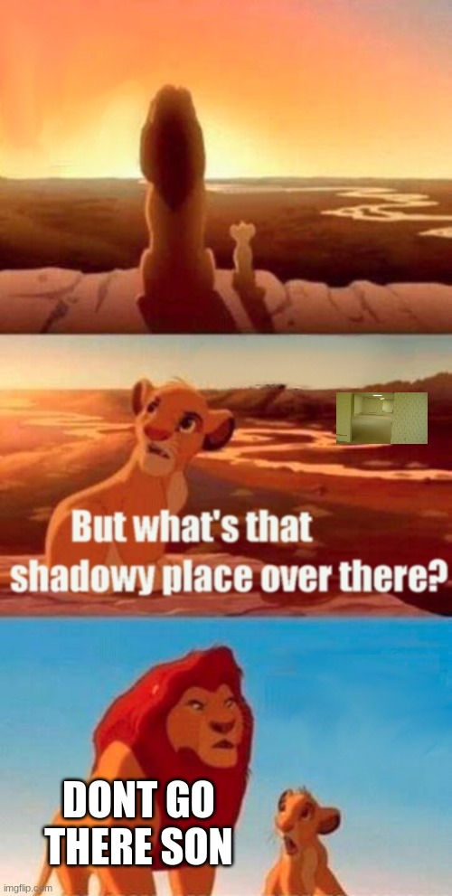 BAckroomSlOL | DONT GO THERE SON | image tagged in memes,simba shadowy place | made w/ Imgflip meme maker