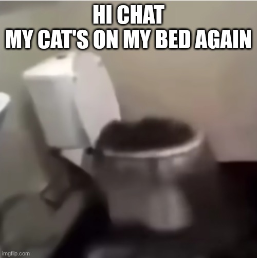 le idiot being summoned (static) | HI CHAT
MY CAT'S ON MY BED AGAIN | image tagged in le idiot being summoned static | made w/ Imgflip meme maker