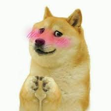 Flirty doge Blank Meme Template