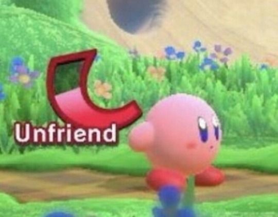 Kirby unfriends Blank Meme Template