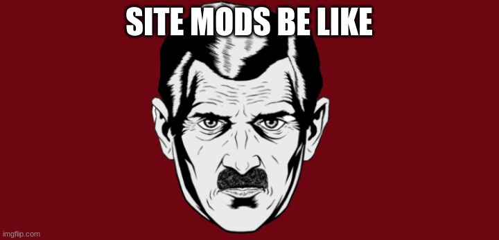 literally 1984 | SITE MODS BE LIKE | image tagged in big brother | made w/ Imgflip meme maker