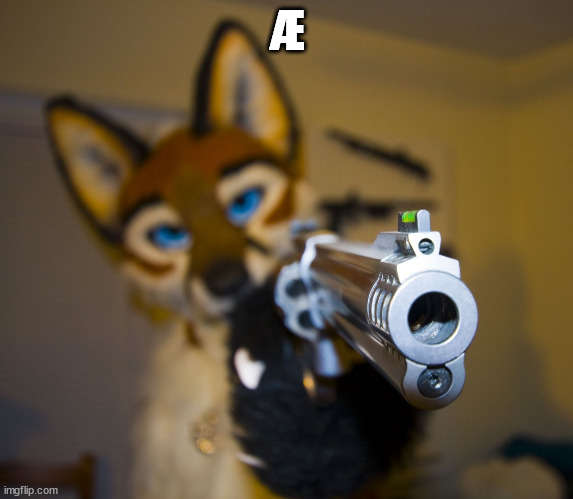 Furry with gun | Æ | image tagged in furry with gun | made w/ Imgflip meme maker