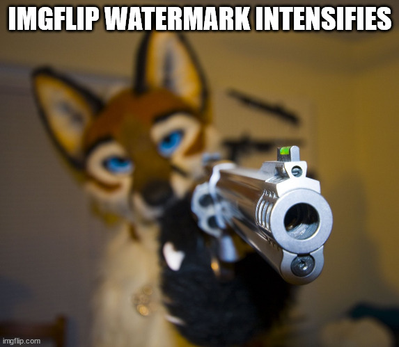 Furry with gun | IMGFLIP WATERMARK INTENSIFIES | image tagged in furry with gun | made w/ Imgflip meme maker