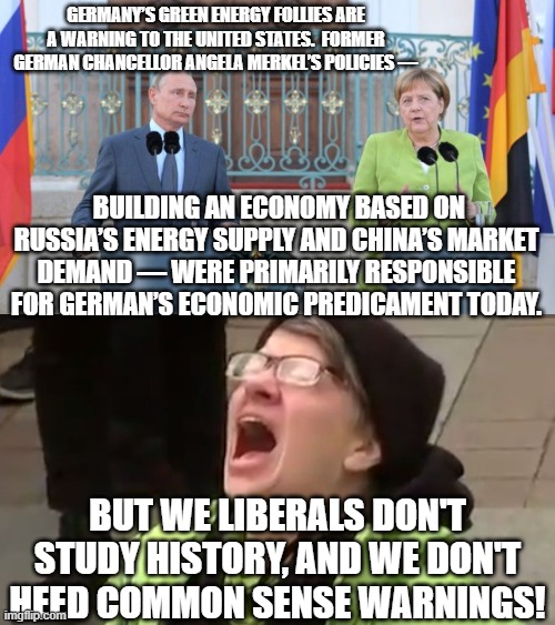 Ironically . . . all of these are established facts that nobody can deny. | GERMANY’S GREEN ENERGY FOLLIES ARE A WARNING TO THE UNITED STATES.  FORMER GERMAN CHANCELLOR ANGELA MERKEL’S POLICIES —; BUILDING AN ECONOMY BASED ON RUSSIA’S ENERGY SUPPLY AND CHINA’S MARKET DEMAND — WERE PRIMARILY RESPONSIBLE FOR GERMAN’S ECONOMIC PREDICAMENT TODAY. BUT WE LIBERALS DON'T STUDY HISTORY, AND WE DON'T HEED COMMON SENSE WARNINGS! | image tagged in facts,warnings,history,liberals | made w/ Imgflip meme maker