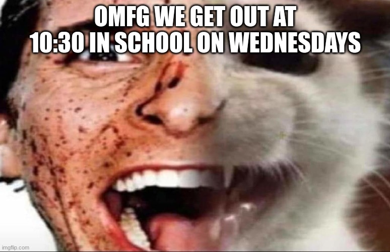 american psycho cat | OMFG WE GET OUT AT 10:30 IN SCHOOL ON WEDNESDAYS | image tagged in american psycho cat | made w/ Imgflip meme maker