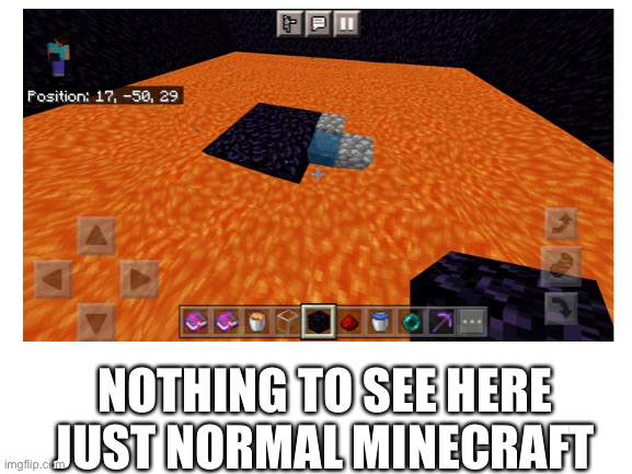 NOTHING TO SEE HERE JUST NORMAL MINECRAFT | image tagged in wtf,cursed,cursed image | made w/ Imgflip meme maker