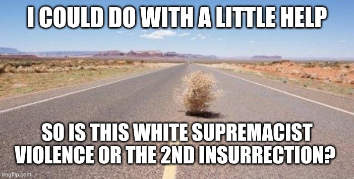 tumbleweed | I COULD DO WITH A LITTLE HELP; SO IS THIS WHITE SUPREMACIST VIOLENCE OR THE 2ND INSURRECTION? | image tagged in tumbleweed | made w/ Imgflip meme maker