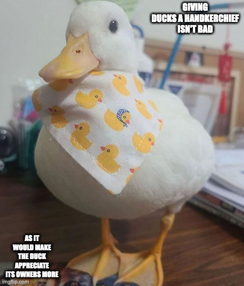 Duck With Handkerchief | GIVING DUCKS A HANDKERCHIEF ISN'T BAD; AS IT WOULD MAKE THE DUCK APPRECIATE ITS OWNERS MORE | image tagged in handkerchief,duck,memes | made w/ Imgflip meme maker