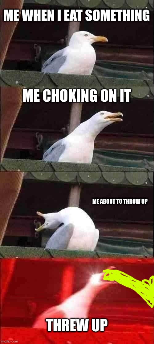 Inhaling Seagull | ME WHEN I EAT SOMETHING; ME CHOKING ON IT; ME ABOUT TO THROW UP; THREW UP | image tagged in memes,inhaling seagull | made w/ Imgflip meme maker