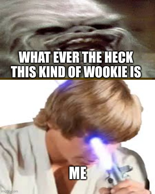 no just no | WHAT EVER THE HECK THIS KIND OF WOOKIE IS; ME | image tagged in memes,star wars,star wars no | made w/ Imgflip meme maker
