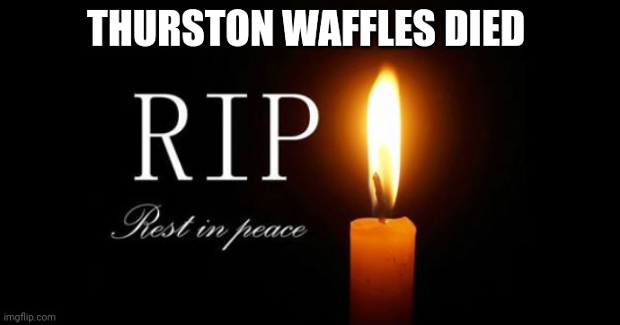 THURSTON WAFFLES DIED | made w/ Imgflip meme maker