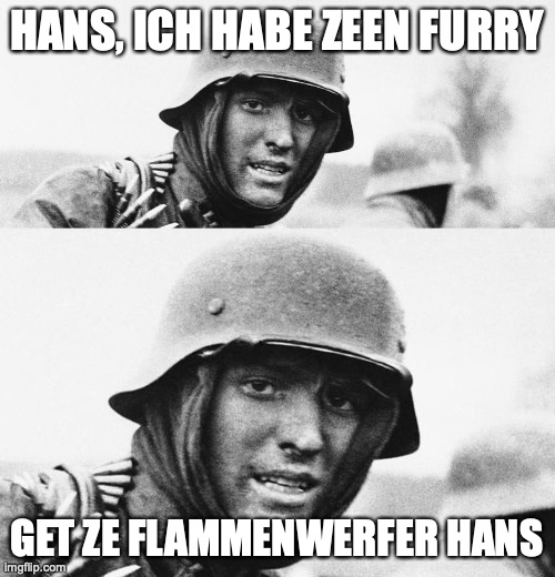 hm it could be nsfw idk |  HANS, ICH HABE ZEEN FURRY; GET ZE FLAMMENWERFER HANS | image tagged in hans get ze flammenwerfer | made w/ Imgflip meme maker