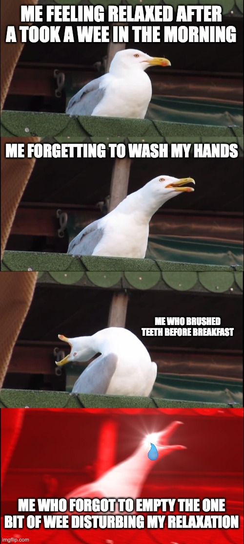 Inhaling Seagull Meme | ME FEELING RELAXED AFTER A TOOK A WEE IN THE MORNING; ME FORGETTING TO WASH MY HANDS; ME WHO BRUSHED TEETH BEFORE BREAKFAST; ME WHO FORGOT TO EMPTY THE ONE BIT OF WEE DISTURBING MY RELAXATION | image tagged in pee,relaxation,disturbance | made w/ Imgflip meme maker
