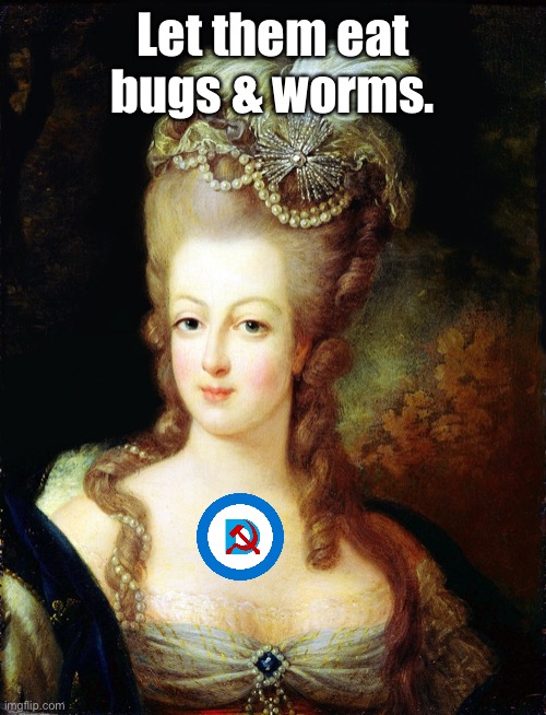 marie antoinette | Let them eat bugs & worms. | image tagged in marie antoinette | made w/ Imgflip meme maker