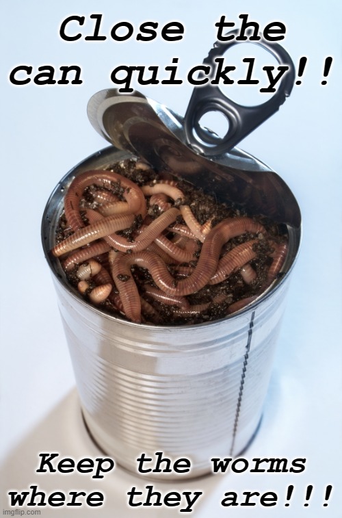 Can of worms | Close the can quickly!! Keep the worms where they are!!! | image tagged in can of worms | made w/ Imgflip meme maker