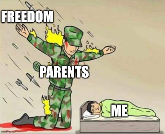 Soldier protecting sleeping child | FREEDOM; PARENTS; ME | image tagged in soldier protecting sleeping child | made w/ Imgflip meme maker