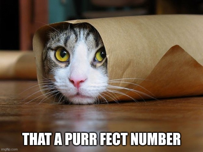 purrito | THAT A PURR FECT NUMBER | image tagged in purrito | made w/ Imgflip meme maker