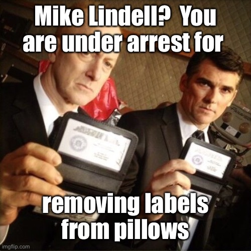 FBI | Mike Lindell?  You are under arrest for removing labels from pillows | image tagged in fbi | made w/ Imgflip meme maker