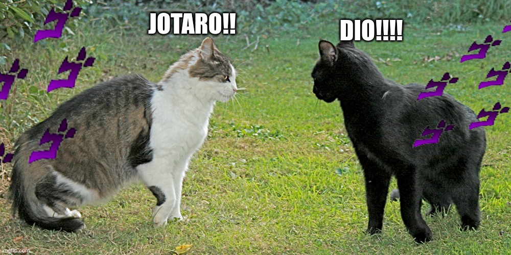 DIO!!!! JOTARO!! | image tagged in jojo's bizarre adventure | made w/ Imgflip meme maker