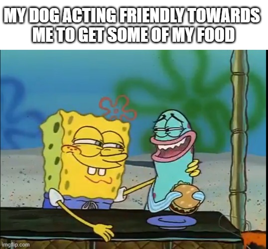 friendly spongebob | MY DOG ACTING FRIENDLY TOWARDS 
ME TO GET SOME OF MY FOOD | image tagged in spongebob fish,dog,spongebob,funny,spongebob squarepants | made w/ Imgflip meme maker