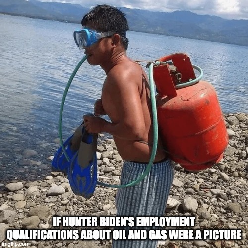 Hunter Qualifications - rohb/rupe | IF HUNTER BIDEN'S EMPLOYMENT QUALIFICATIONS ABOUT OIL AND GAS WERE A PICTURE | image tagged in hunter biden,burisma | made w/ Imgflip meme maker