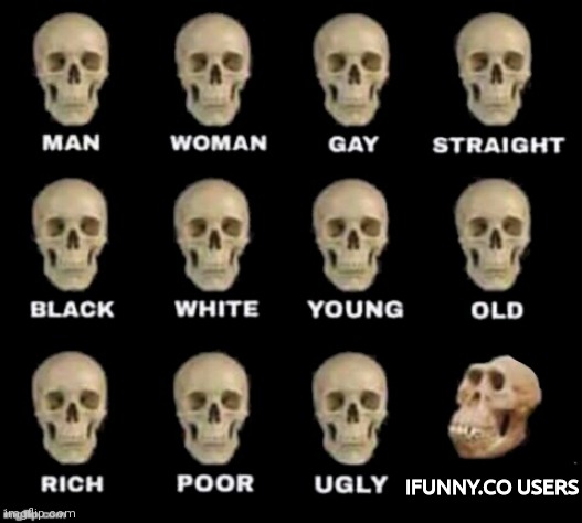 idiot skull | IFUNNY.CO USERS | image tagged in idiot skull | made w/ Imgflip meme maker