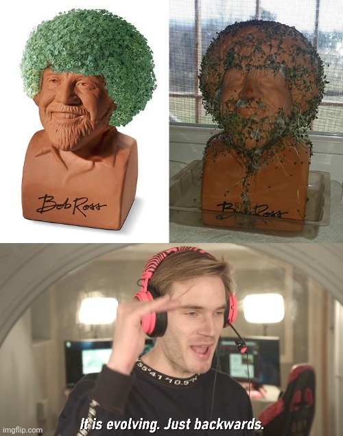 Messed up Chia pet on the right | image tagged in its evolving just backwards,chia pet,bob ross you had one job,memes,meme,fail | made w/ Imgflip meme maker