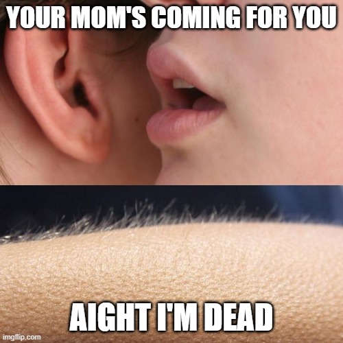 Mom's coming | YOUR MOM'S COMING FOR YOU; AIGHT I'M DEAD | image tagged in whisper and goosebumps | made w/ Imgflip meme maker