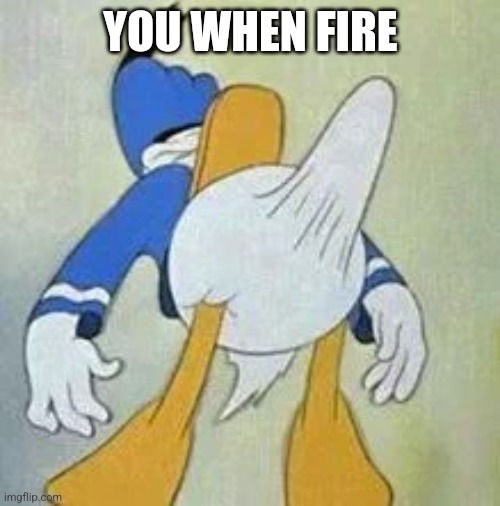 Erection donald | YOU WHEN FIRE | image tagged in erection donald | made w/ Imgflip meme maker